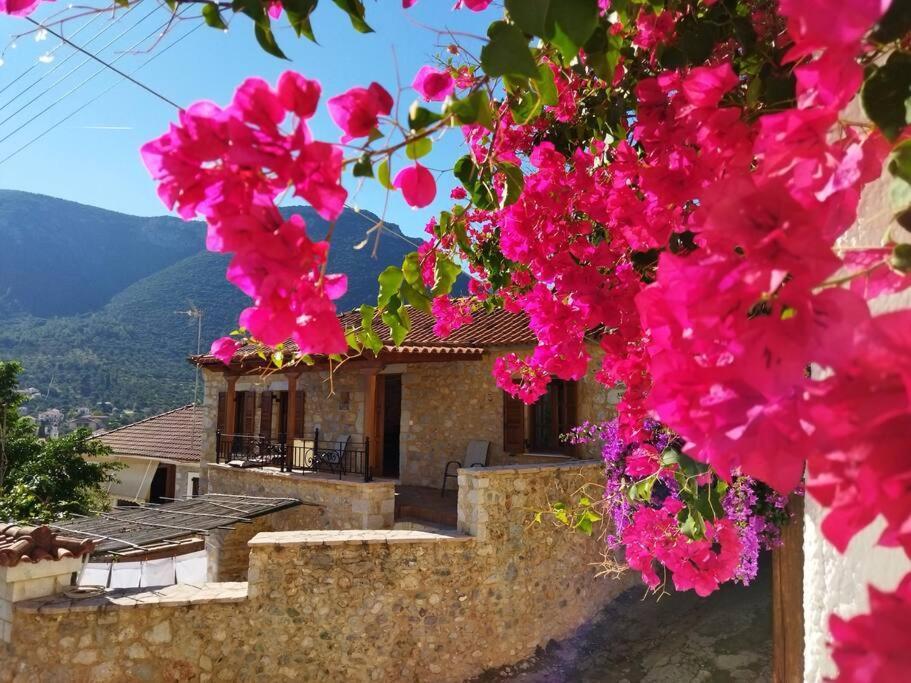 Tsolakis Luxury House Leonidio
